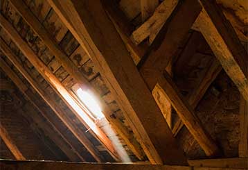 Attic Insulation Removal | Attic Cleaning Glendale, CA