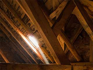 Insulation Removal | Attic Cleaning Glendale, CA Insulation Removal | Attic Cleaning Glendale, CA