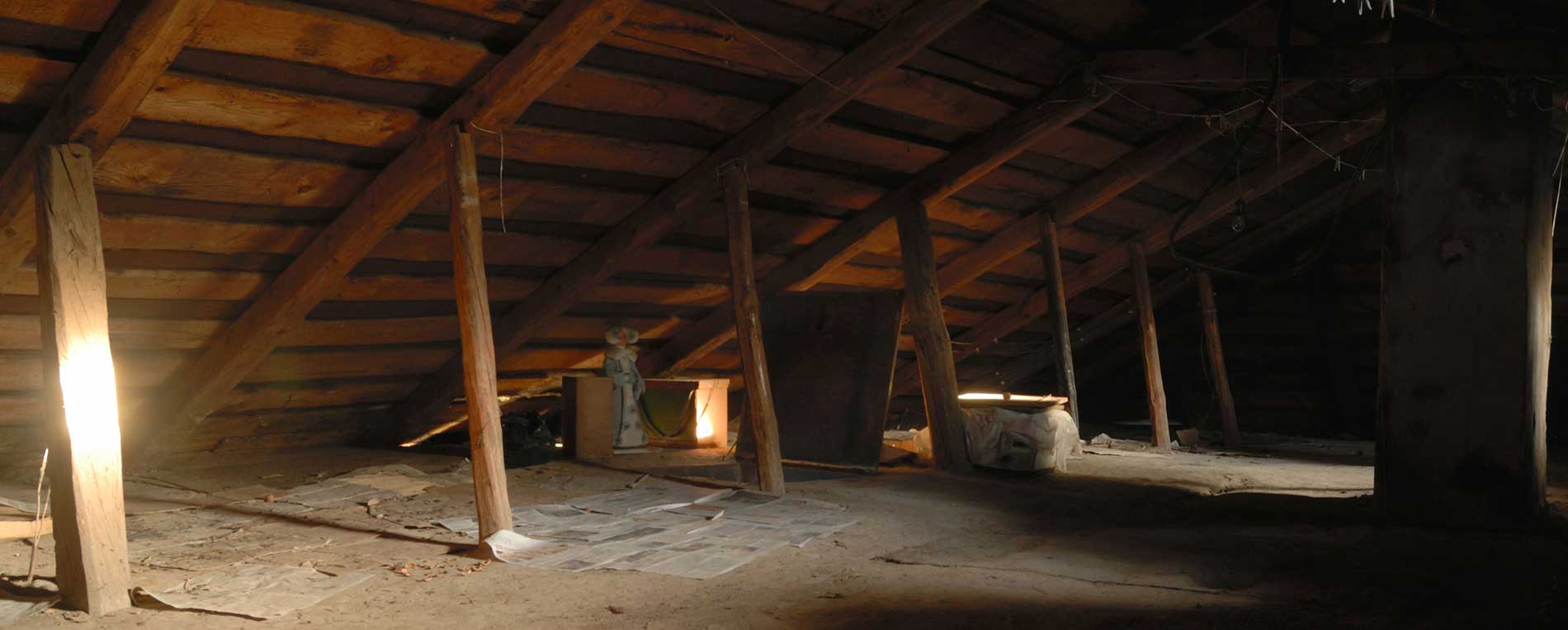 Attic Insulation Removal